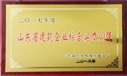 泰安井蓋廠(chǎng)家